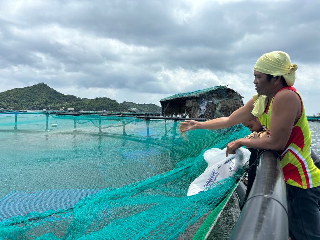 Tidal Trove Farming